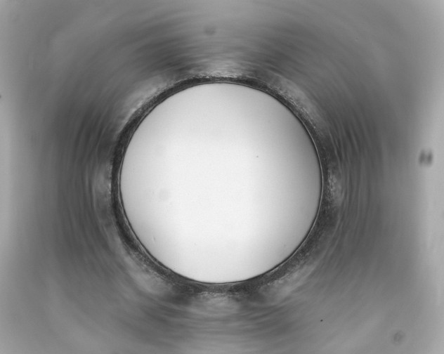 X0000091940534200709121621