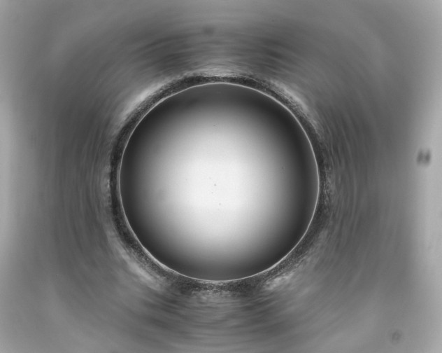 X0000091940535200709121621