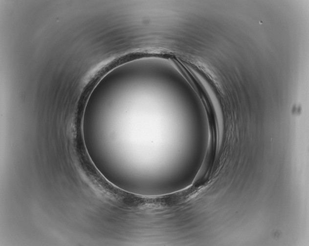 X0000091940536200709121621