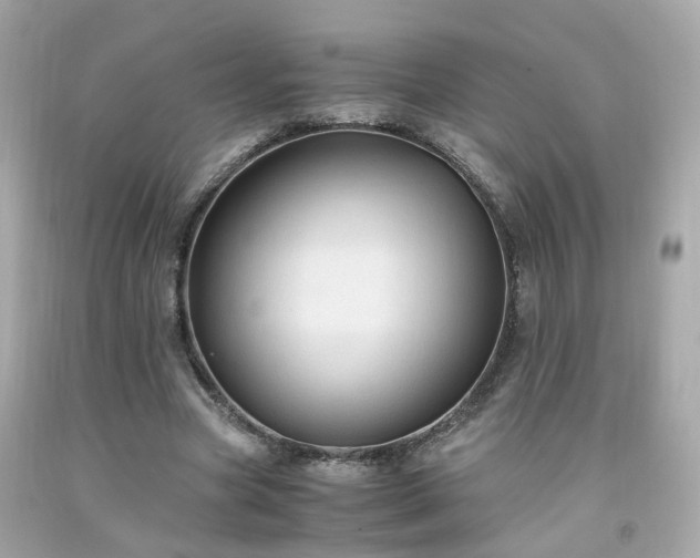 X0000091940537200709121621