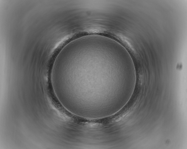 X0000091940539200709121621