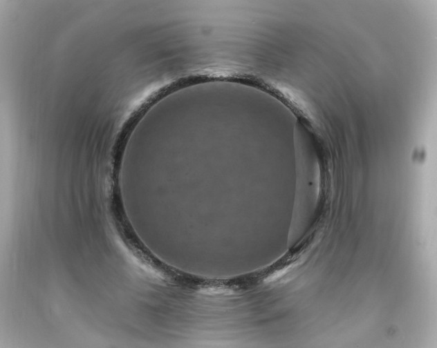 X0000091940540200709121621