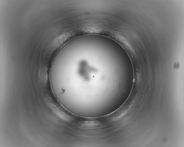 X0000091940541200709121621