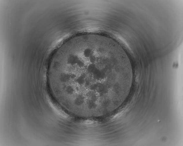 X0000091940542200709121621