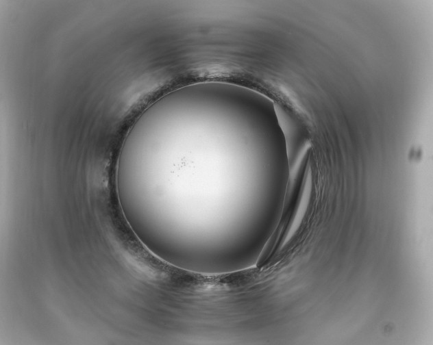 X0000091940543200709121621