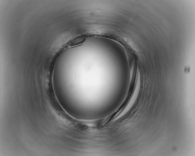 X0000091940544200709121621