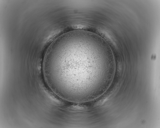 X0000091940545200709121621