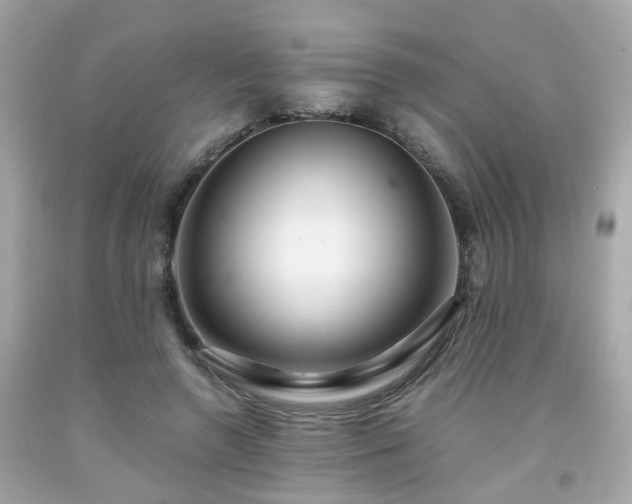 X0000091940546200709121621