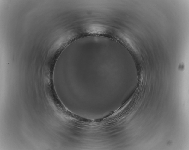 X0000091940547200709121621