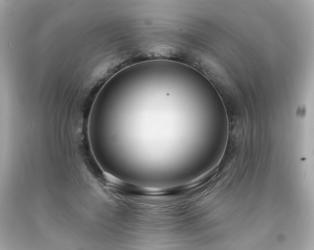 X0000091940548200709121621