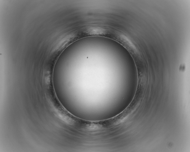 X0000091940549200709121621