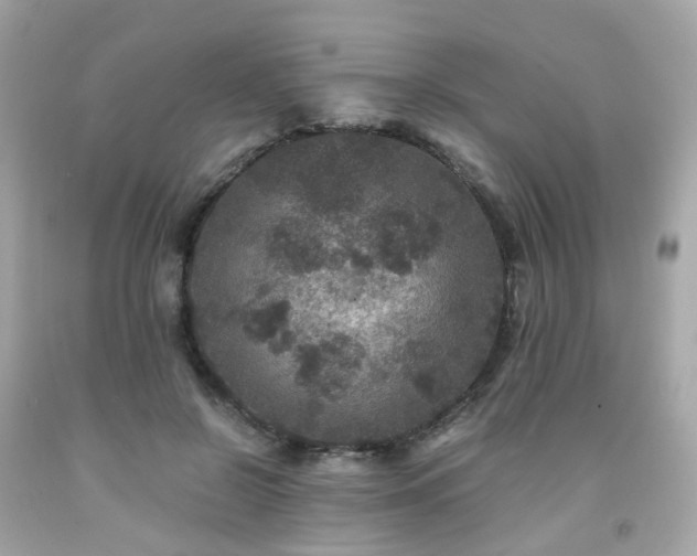 X0000091940550200709121621