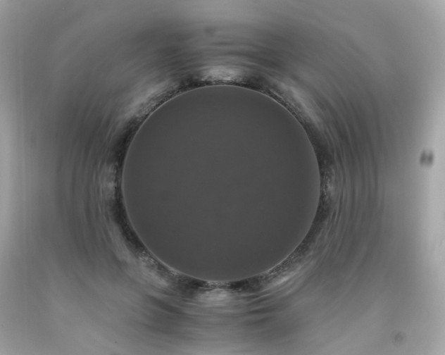 X0000091940551200709121621