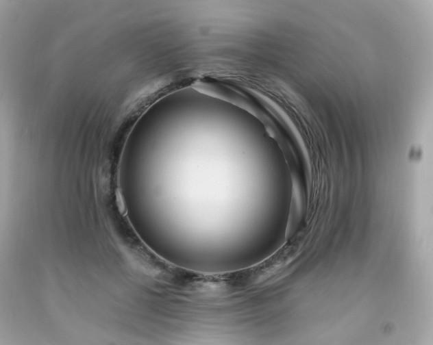 X0000091940552200709121621