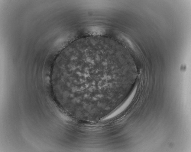 X0000091940553200709121621