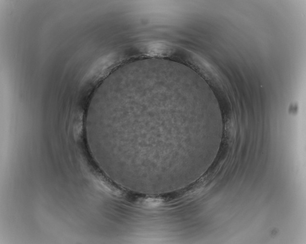 X0000091940554200709121621