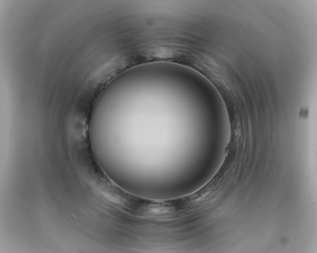 X0000091940555200709121621