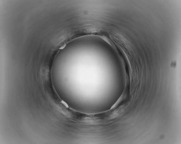 X0000091940556200709121621