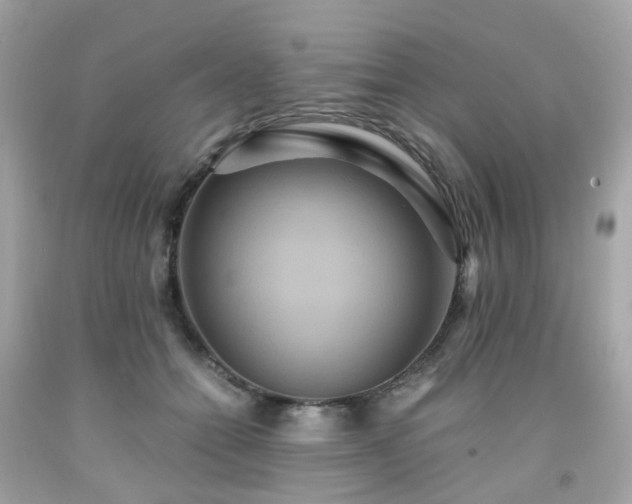 X0000091940558200709121621