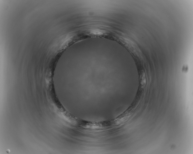 X0000091940559200709121621