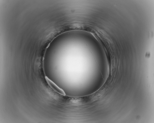 X0000091940560200709121621