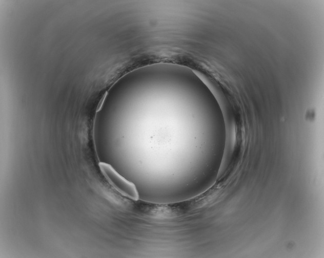 X0000091940562200709121621