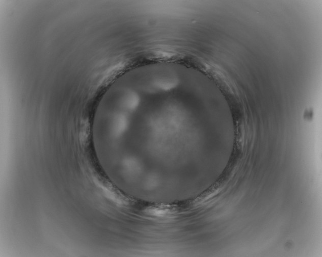 X0000091940563200709121621