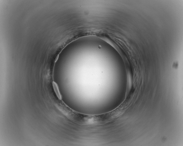 X0000091940564200709121621