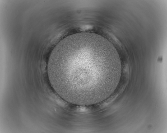 X0000091940565200709121621