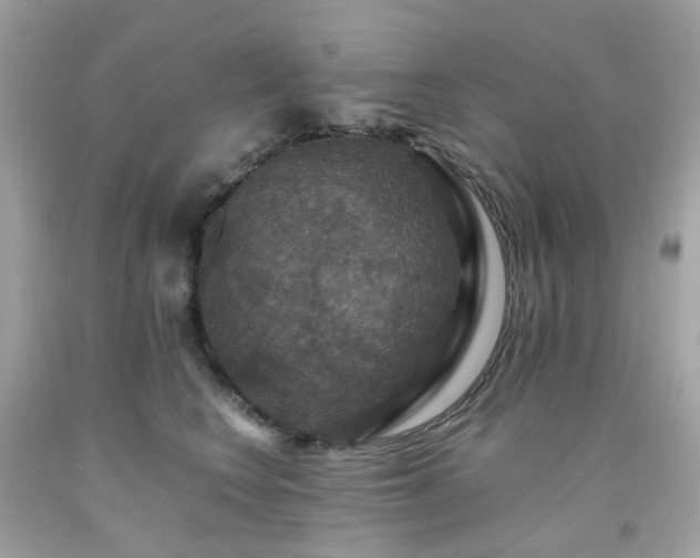 X0000091940566200709121621