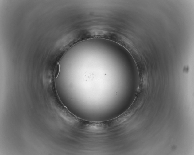 X0000091940567200709121621