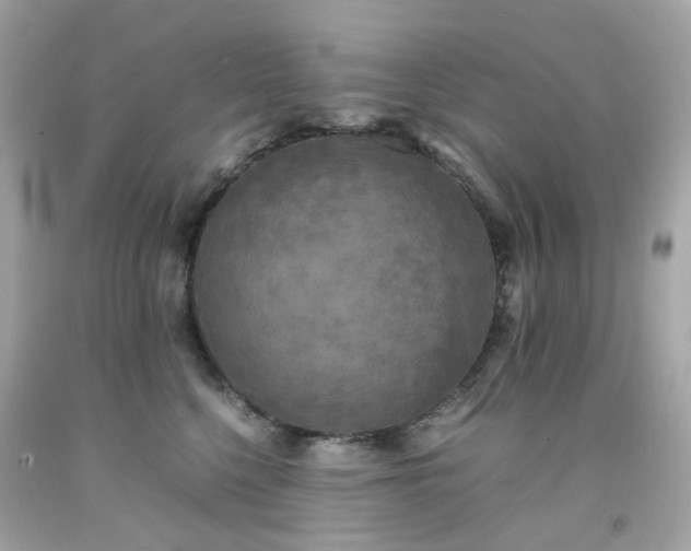 X0000091940568200709121621