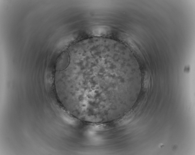 X0000091940569200709121621