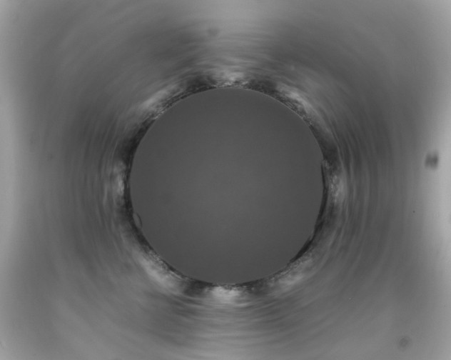 X0000091940570200709121621