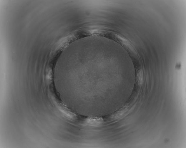 X0000091940571200709121621