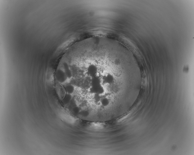 X0000091940573200709121621