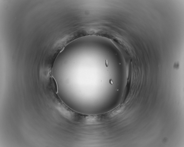 X0000091940574200709121621