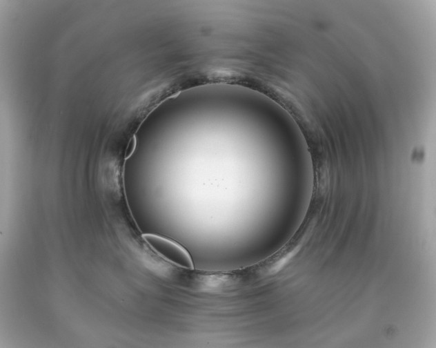 X0000091940575200709121621