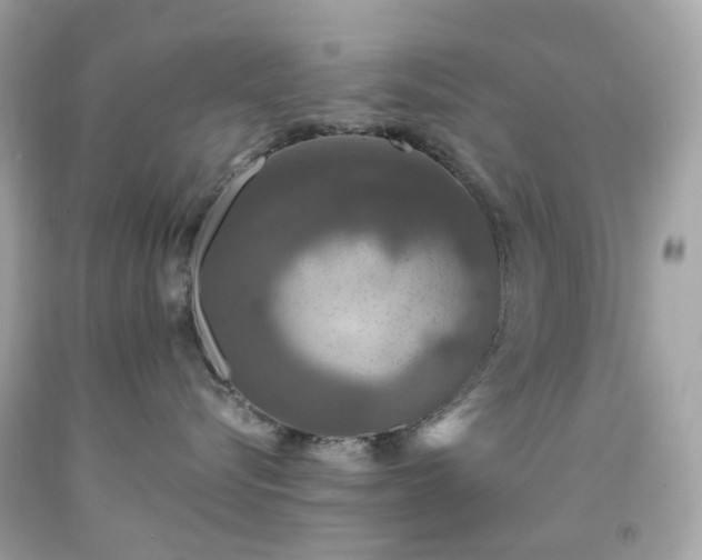 X0000091940576200709121621