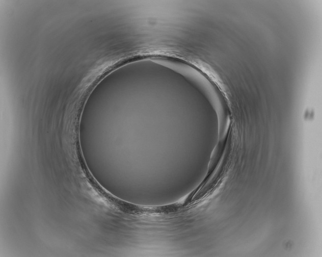 X0000091940577200709121621