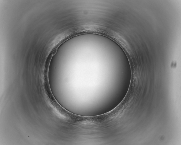 X0000091940578200709121621