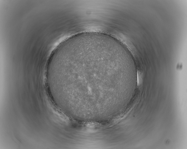 X0000091940579200709121621