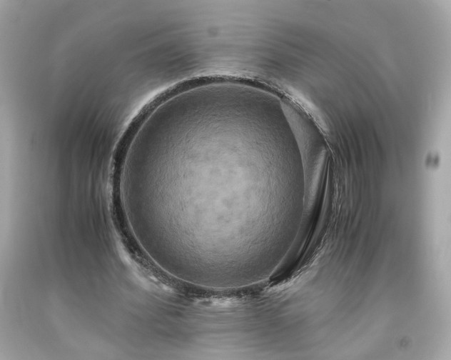 X0000091940580200709121621