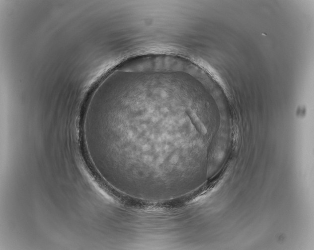 X0000091940581200709121621