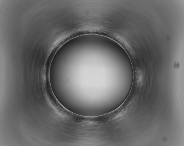 X0000091940582200709121621