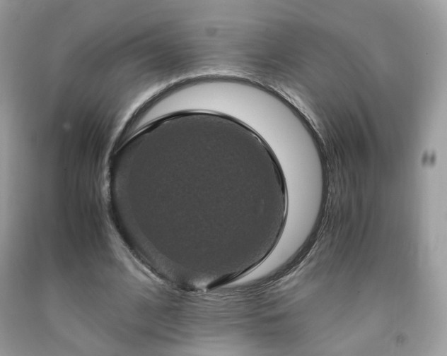 X0000091940584200709121621