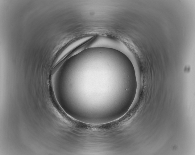 X0000091940585200709121621