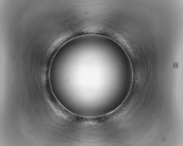 X0000091940586200709121621