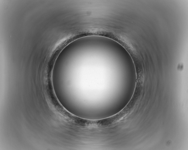 X0000091940587200709121621