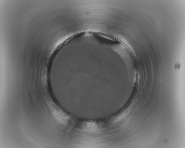 X0000091940588200709121621